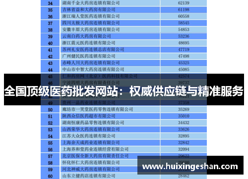 全国顶级医药批发网站：权威供应链与精准服务